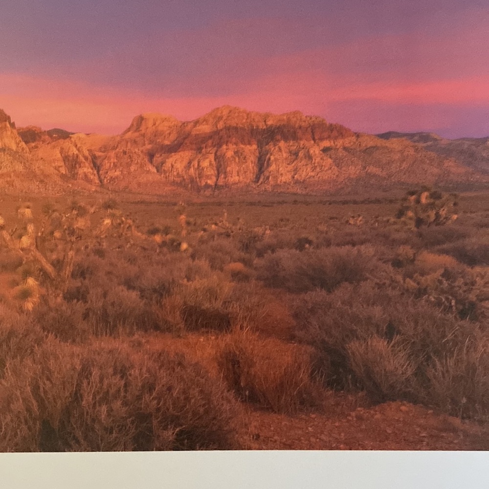 Book - Picture 4 of 6